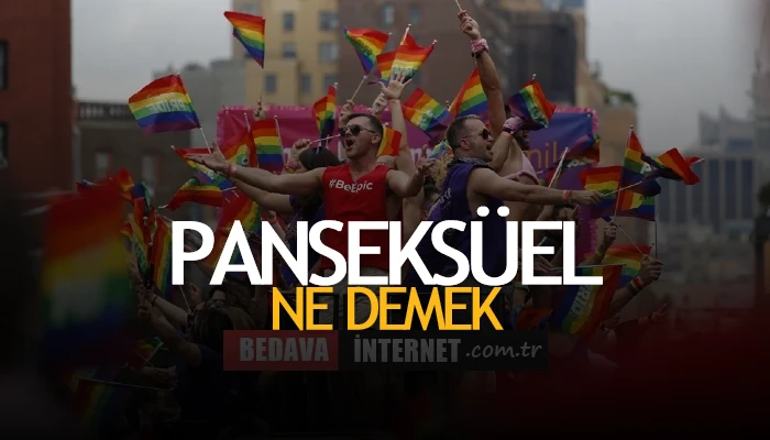 Panseksüel Ne Demek