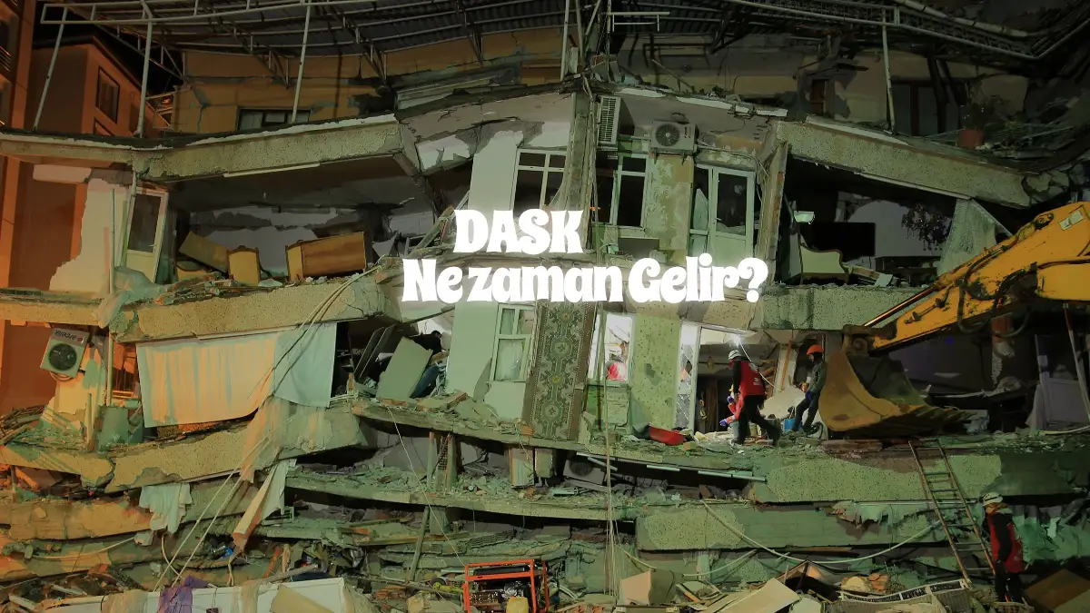 Dask Eksper Ne Zaman Gelir?